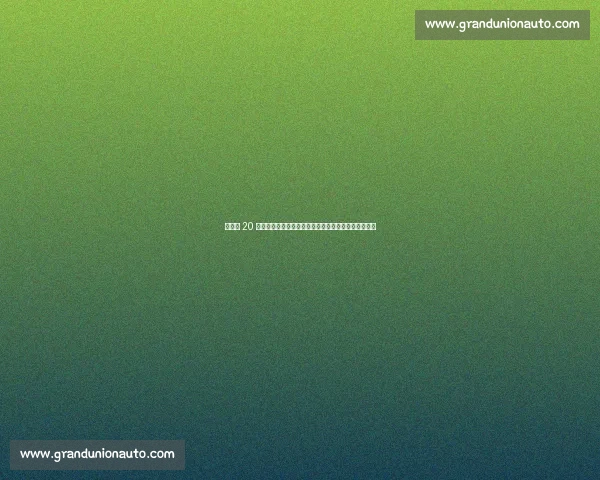 孙继海 20 年前错失哈兰德合影！如今巨星调侃：亿元同框成遗憾