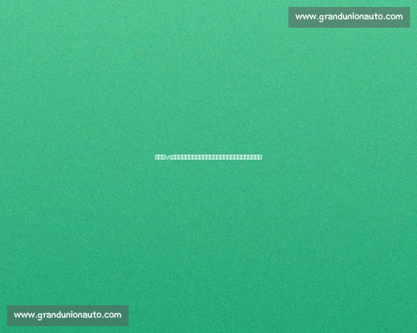 柳海龙vs巅峰对决全景解析中国格斗黄金时代记忆传奇人物成长轨迹