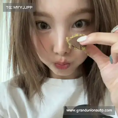晏清飚